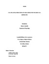 Calling, life satisfaction and job satisfaction: religion as a moderator