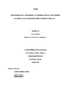 construction thesis pdf Thumbnail