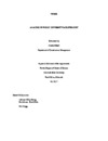 construction thesis pdf Thumbnail