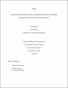 construction thesis pdf Thumbnail