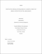 construction thesis pdf Thumbnail