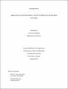 Three essays on development: access to services in developing countries