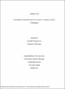 Adolescent substance use and violence: a cross cultural comparison