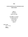 A critical examination of non-Native practice of Native American religion